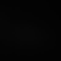 Rose_453