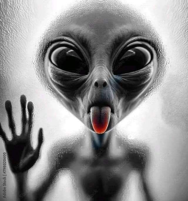 Avatar de Kadog
