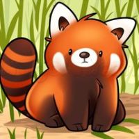 red panda bamboo 